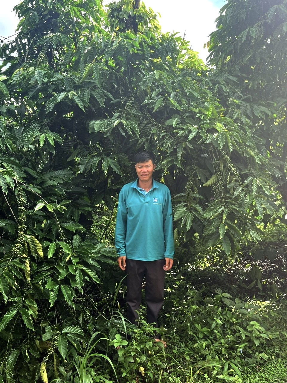 cà phê