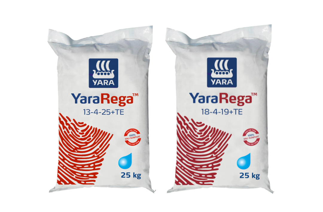 Phân bón YaraRega chứa 7 dưỡng chất đa