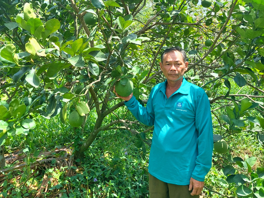 Thanh Dũng