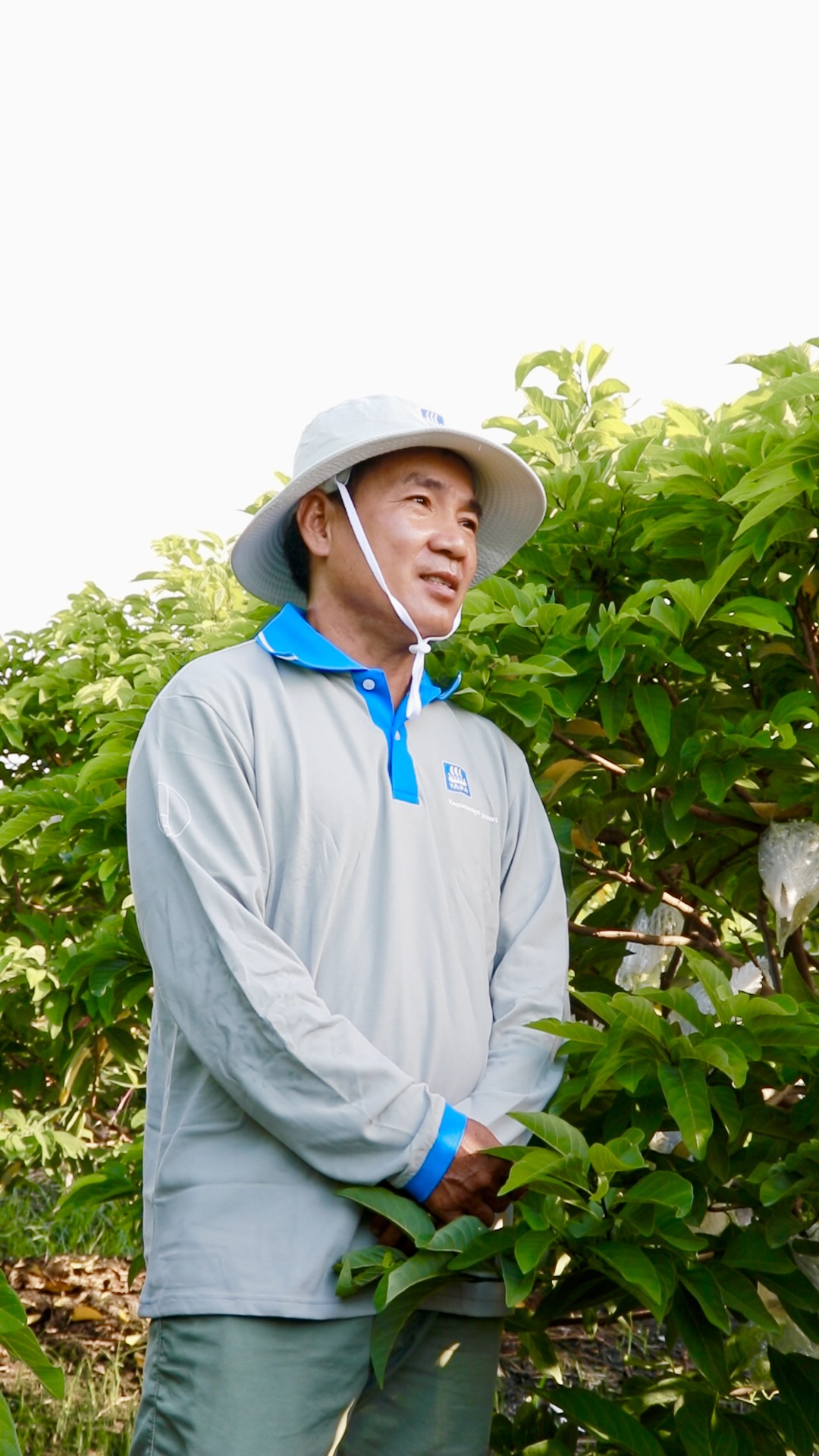 anh Ninh