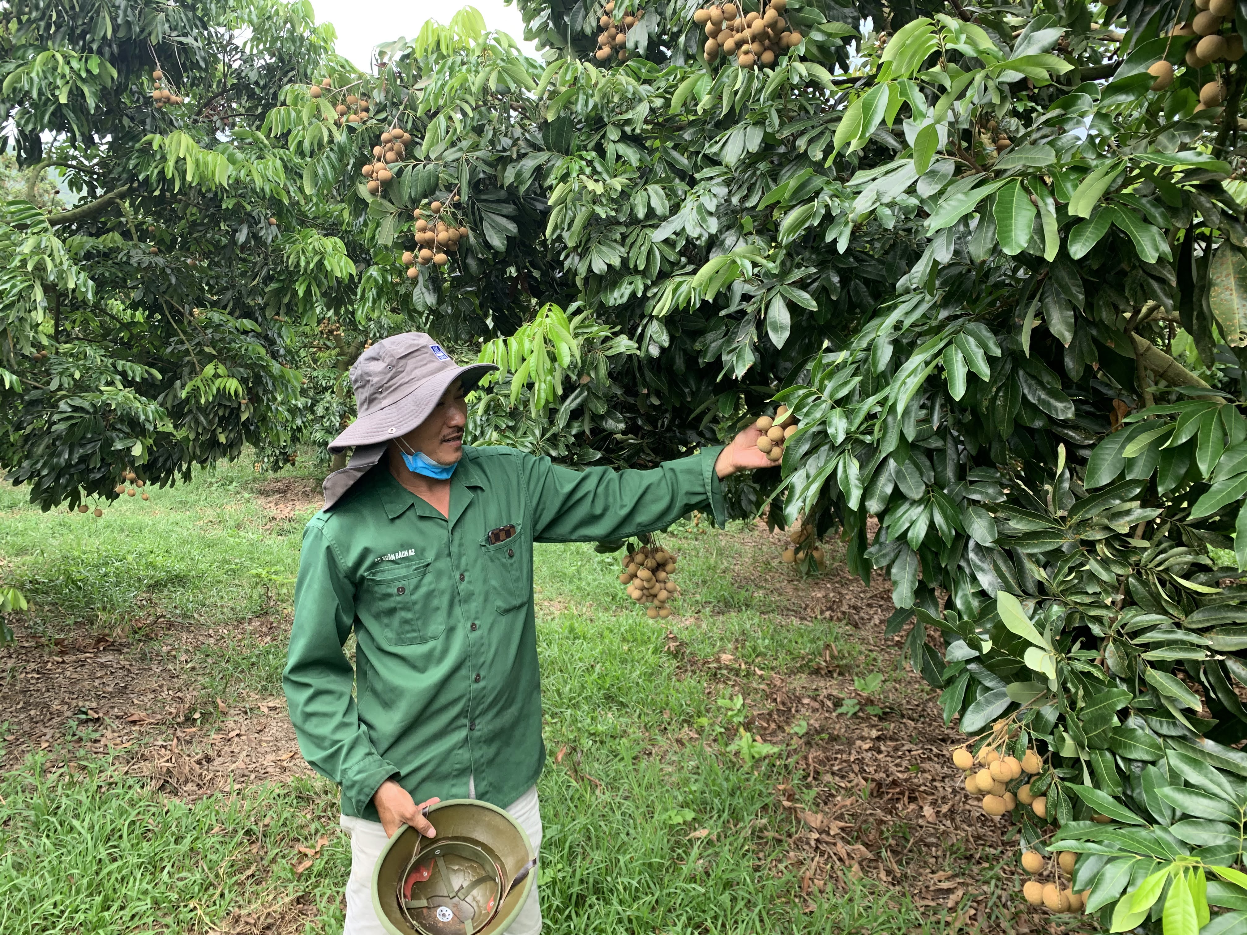 Ông Đào Ngọc Toàn