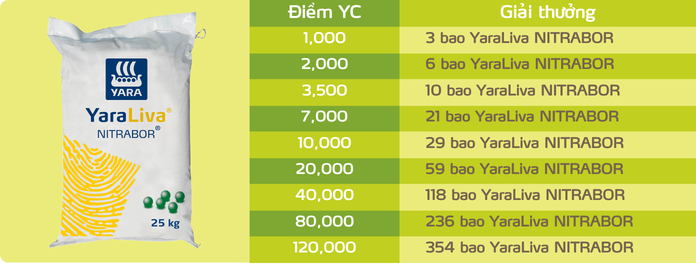 điểm YC