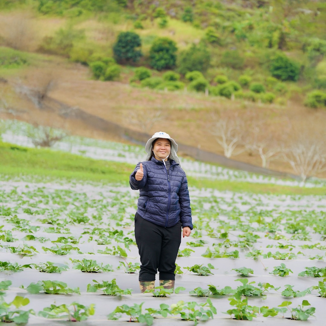 chị Dương