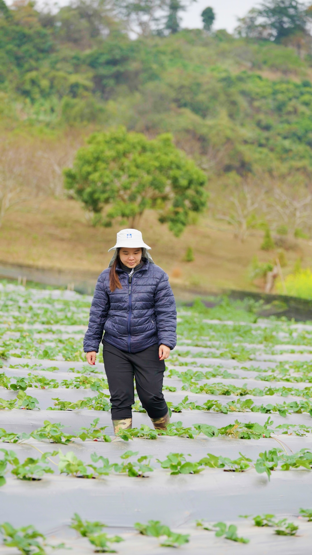chị Dương