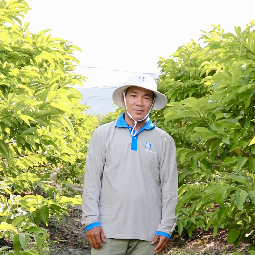 anh Ninh