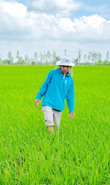 Khởi