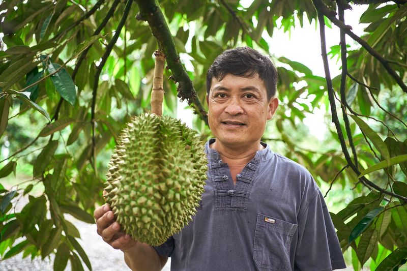 anh Điệp