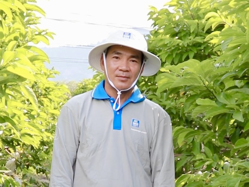 anh Ninh